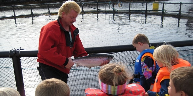 הסברים על דגי הסלמון בחווה Norsk Havbrukssenter