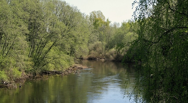 נהר Svartelva - הדמארק